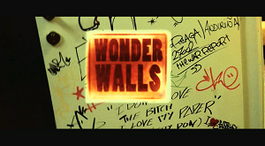 imaxe da reportaxe Wonder Walls